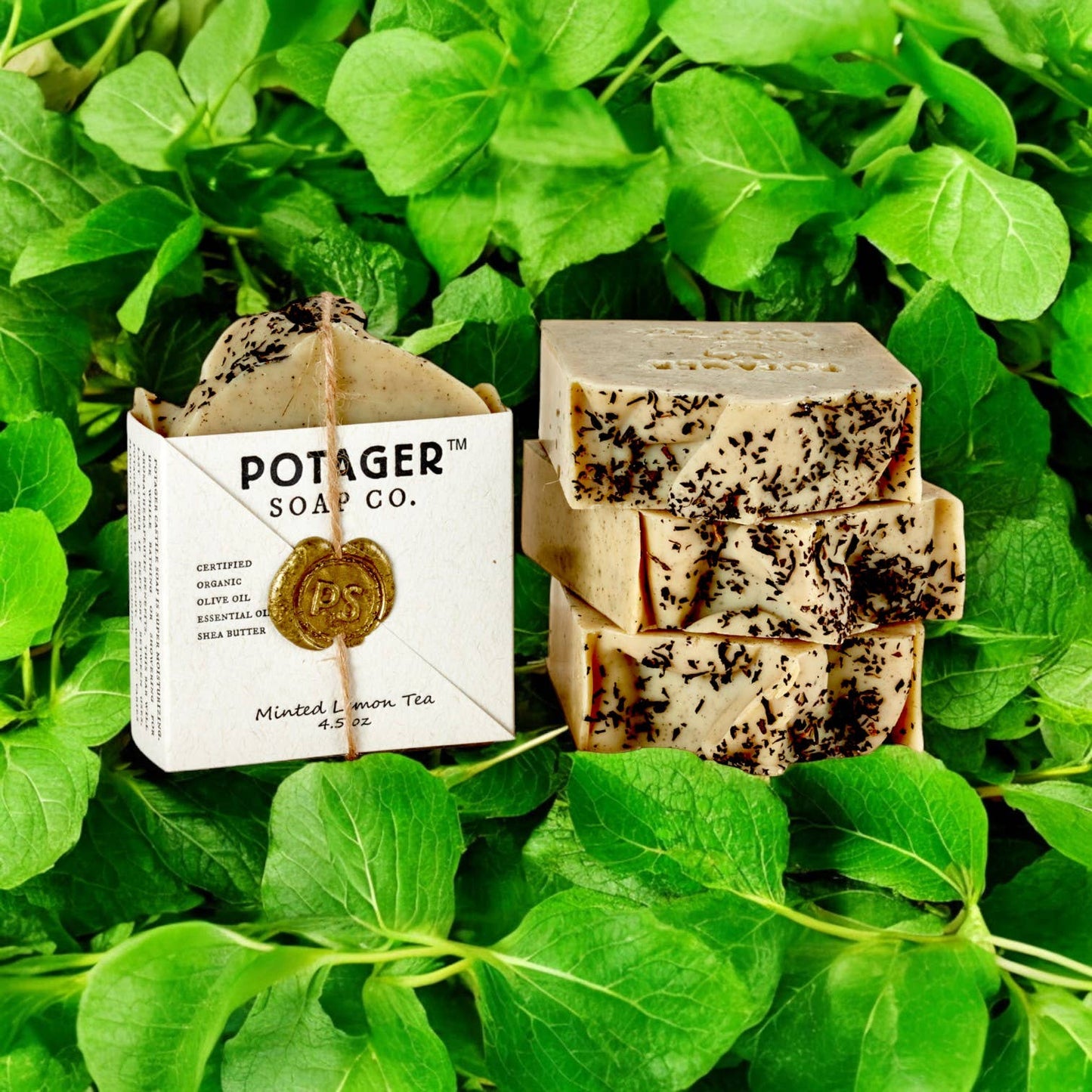 Minted Lemon Tea | Wrapped – Exfoliating Spa Soap Bar